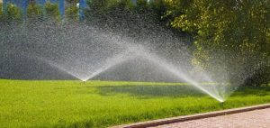 sprinklers and irrigation